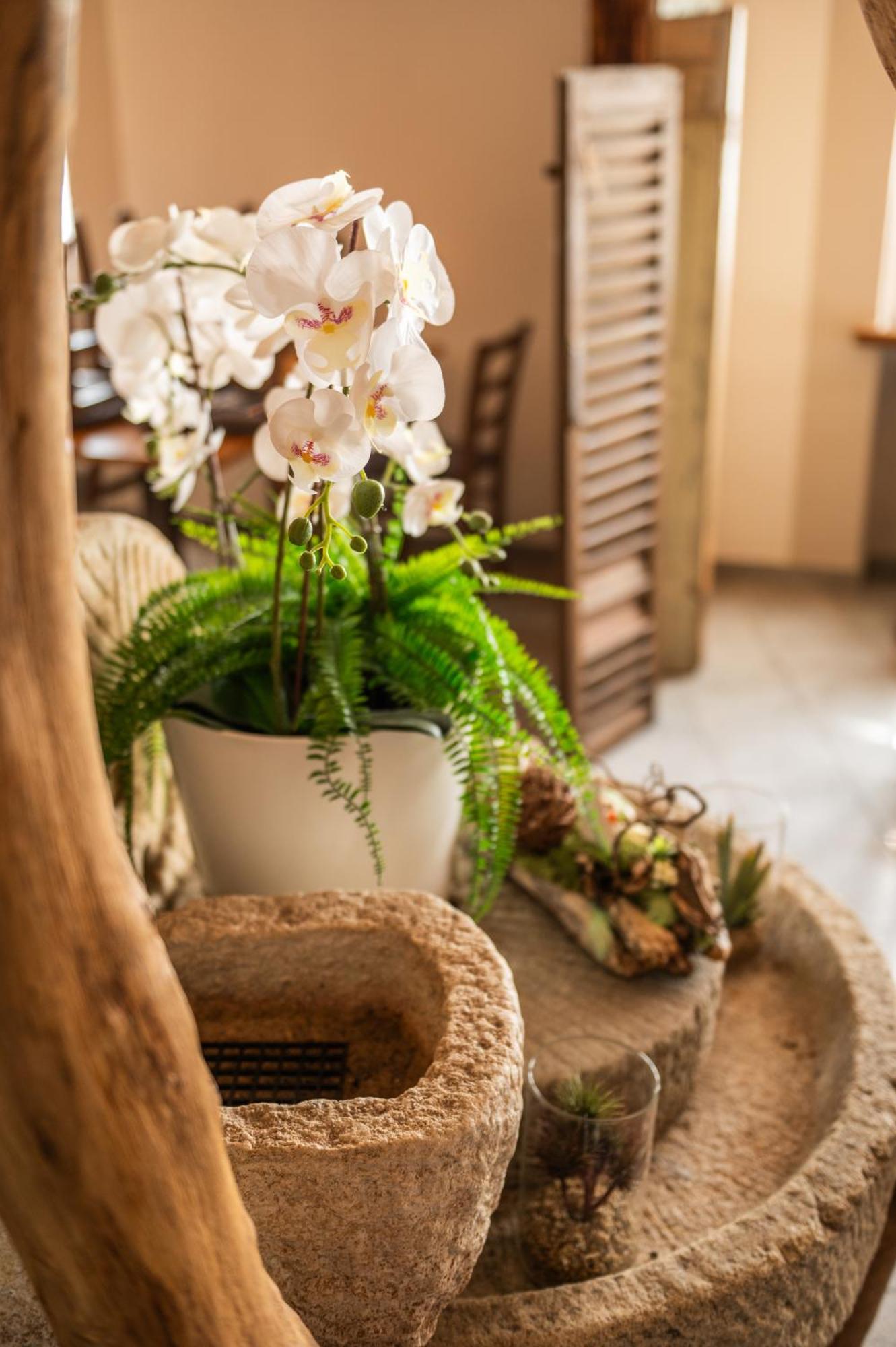 Locanda Poncini Maggia Extérieur photo